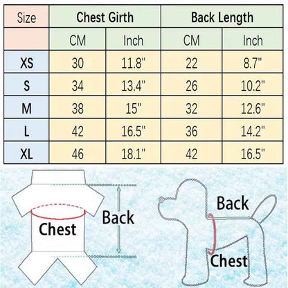 Angel Wings Dog Harness and Leash Set | Dog Walking Set