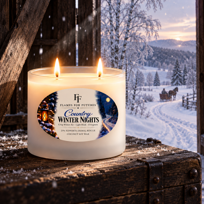 Country Winter Nights