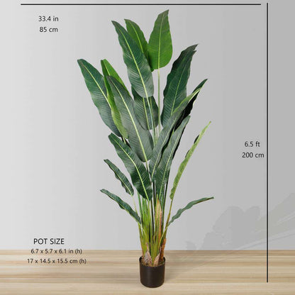 Kola Künstliche Travellers Palm Palme als Topfpflanze (verschiedene Größen)