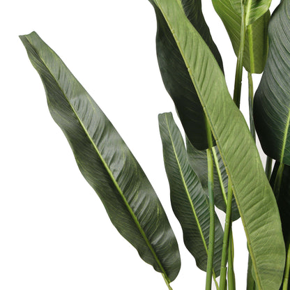 Kola Künstliche Travellers Palm Palme als Topfpflanze (verschiedene Größen)