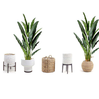 Kola Künstliche Travellers Palm Palme als Topfpflanze (verschiedene Größen)