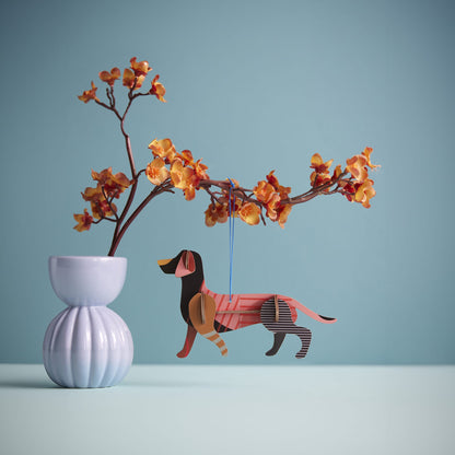 Dachshund