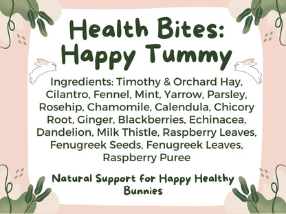 Health Bites: Happy Tummy
