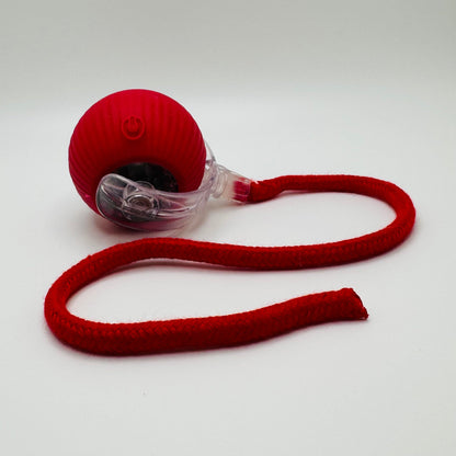 Pet Vibrating Bouncing Ball Toy with Tail