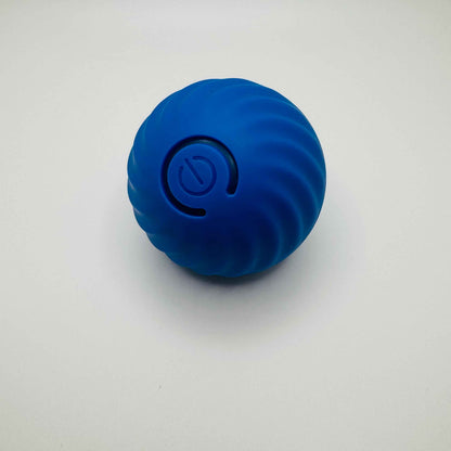 Pet Vibrating Ball Toy