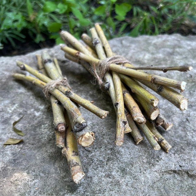 Willow Branch Bundle for Rabbits