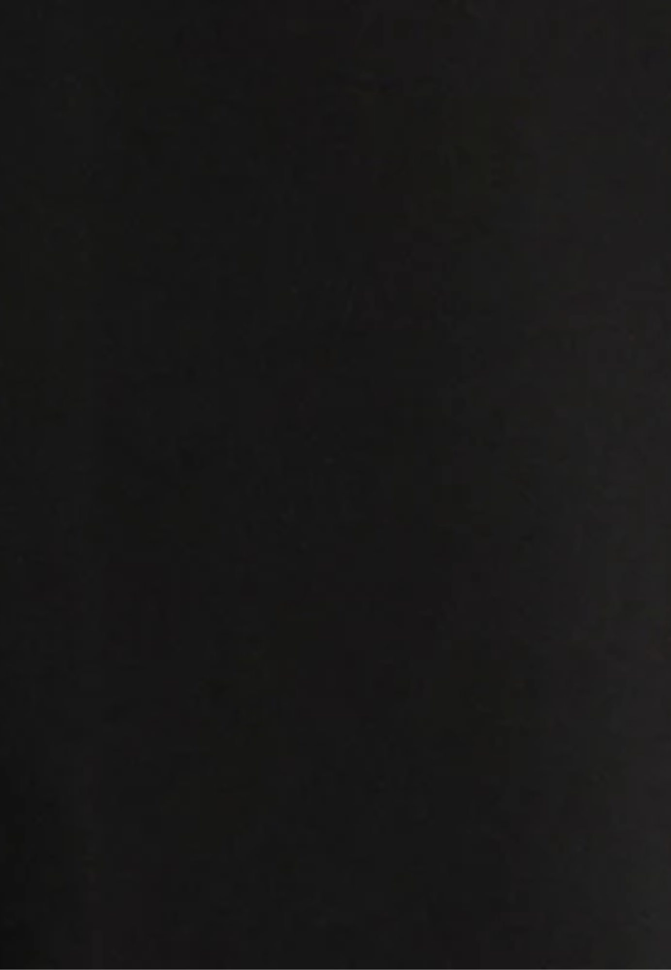 Alexa Wide Leg Maternity Pant Black