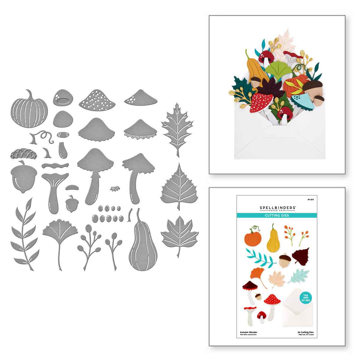 Autumn Wonder Etched Dies from the Envelope of Wonder Collection
