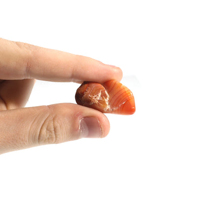 Carnelian E Tumbled Stones - Brazil