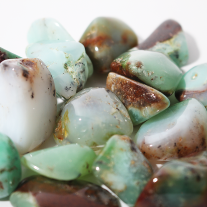 Chrysoprase A Tumbled Stones - Australia