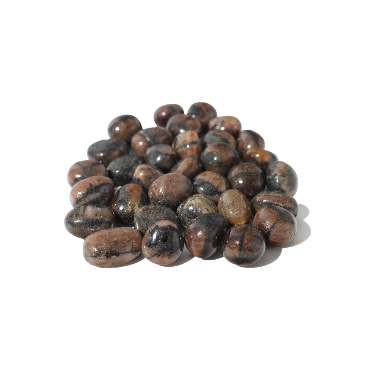 Chiastolite Tumbled Stones