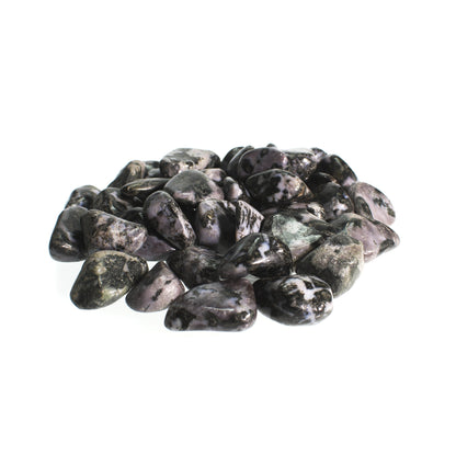 Indigo Gabbro Tumbled Stone
