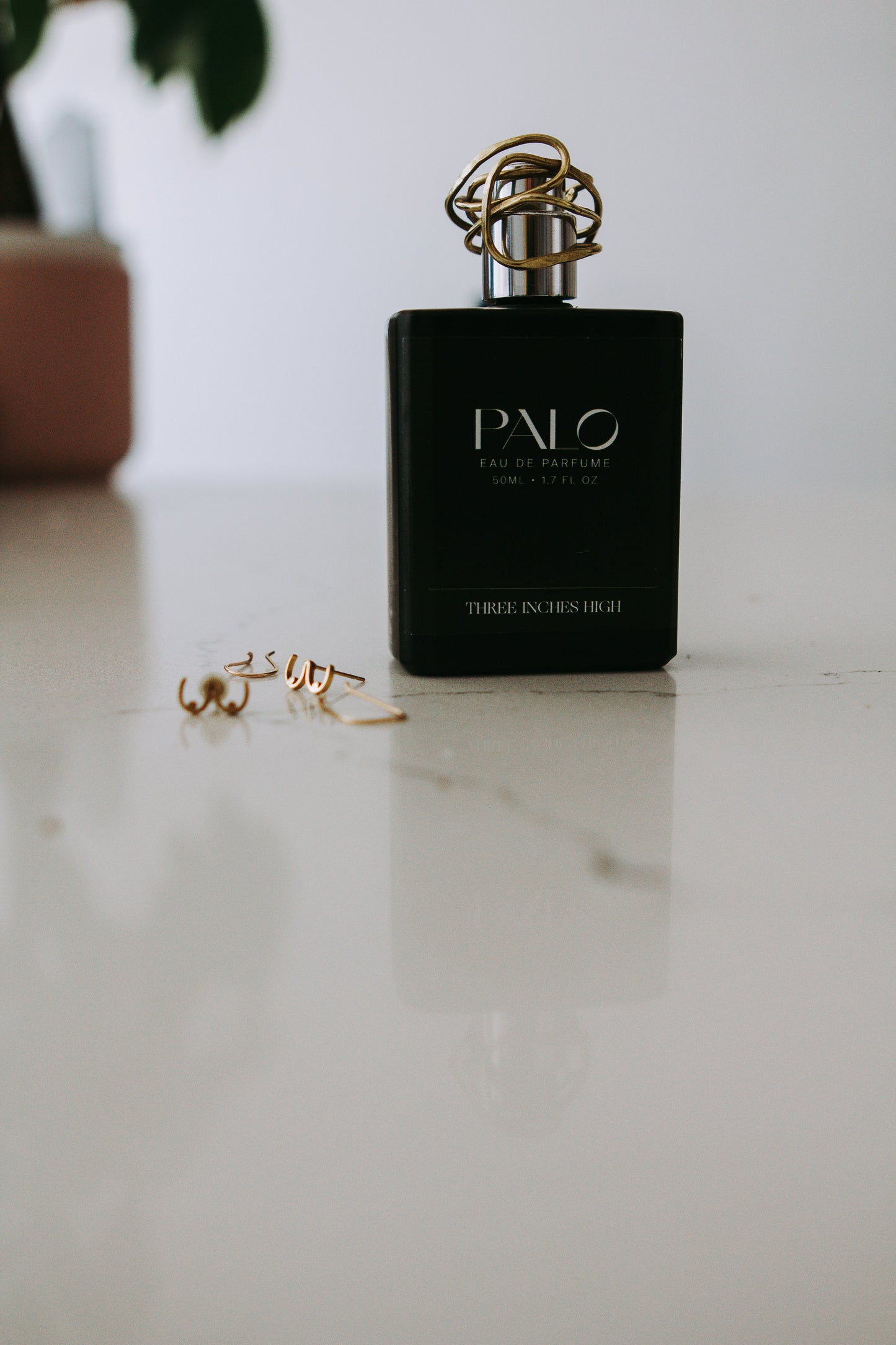 Palo