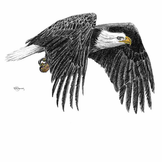 Bald Eagle  - greeting card