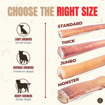 6 Inch Thick Bully Stick