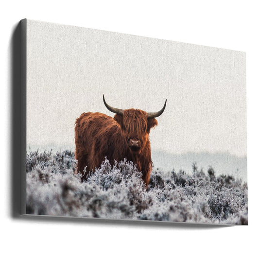 Wandkunst Highlander