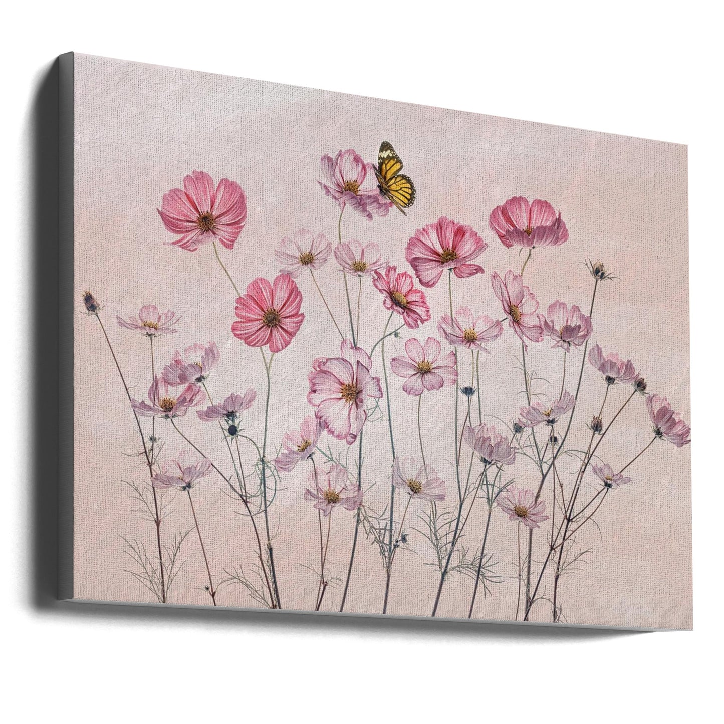 Wandbild Kosmos und Schmetterling