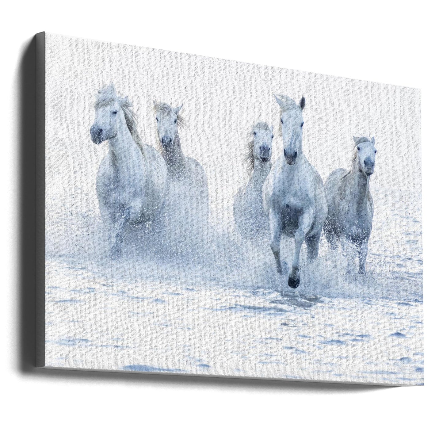 Wall Art Horses on the Run
