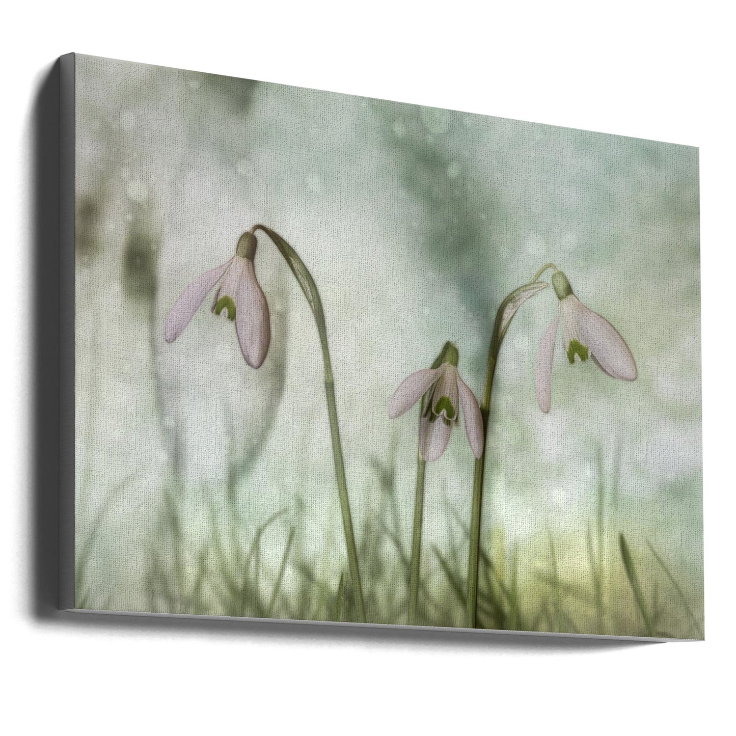 Wandbild-Trio 2