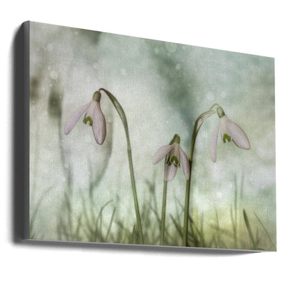 Wandbild-Trio 2