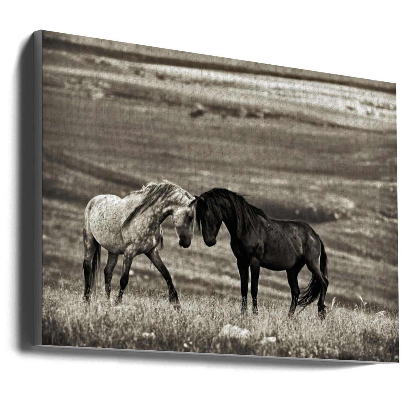 Wall art close encounter