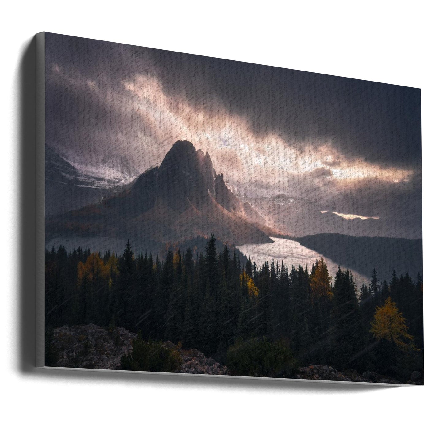 Wandbild Assiniboine im Schnee