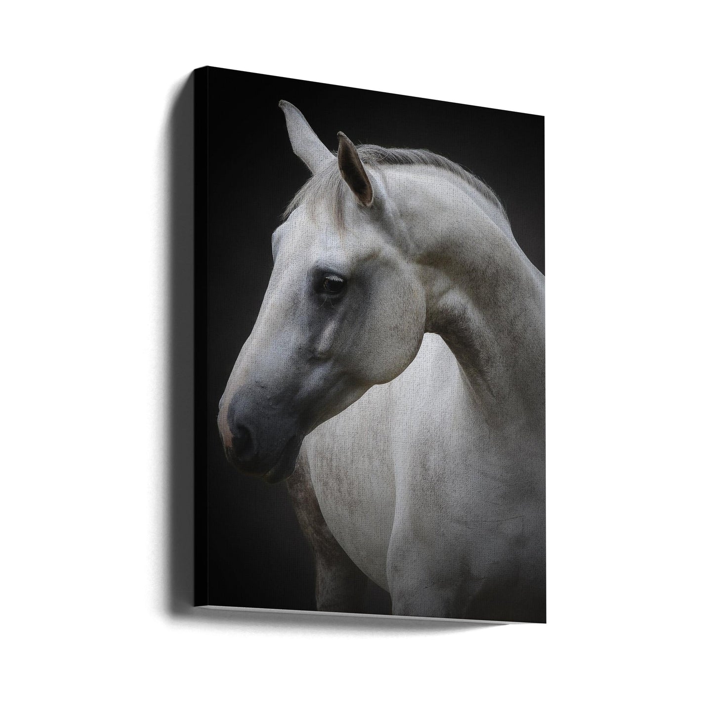 Wandkunst Maggie. Pferd