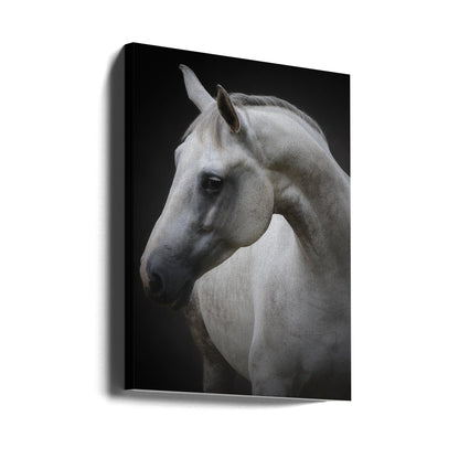 Wandkunst Maggie. Pferd