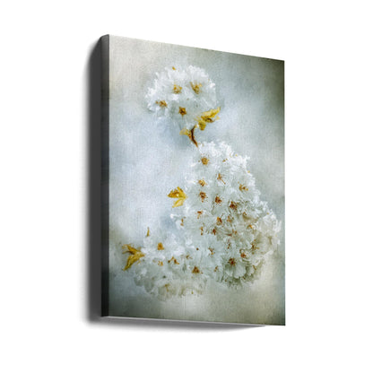 ウォールアート 桜