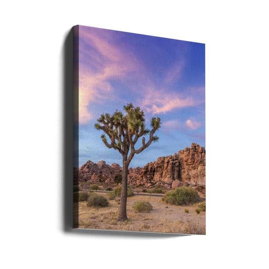 Wandbild Joshua Tree Abendstimmung