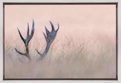 Wandkunst   Verstecken spielen (Horn vom Hirsch)