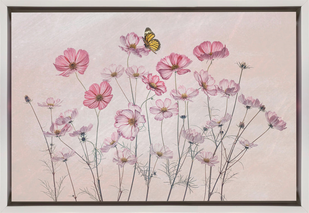 Wandbild Kosmos und Schmetterling