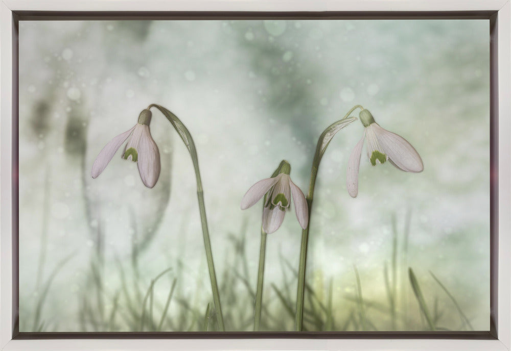 Wandbild-Trio 2