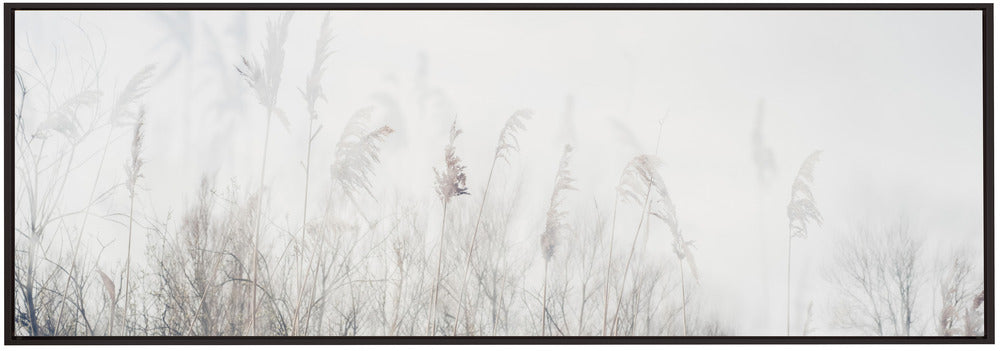 Wall art Landscape of reeds and grass