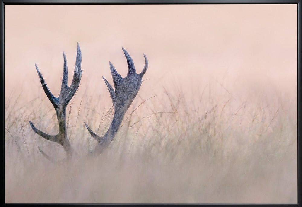 Wandkunst   Verstecken spielen (Horn vom Hirsch)