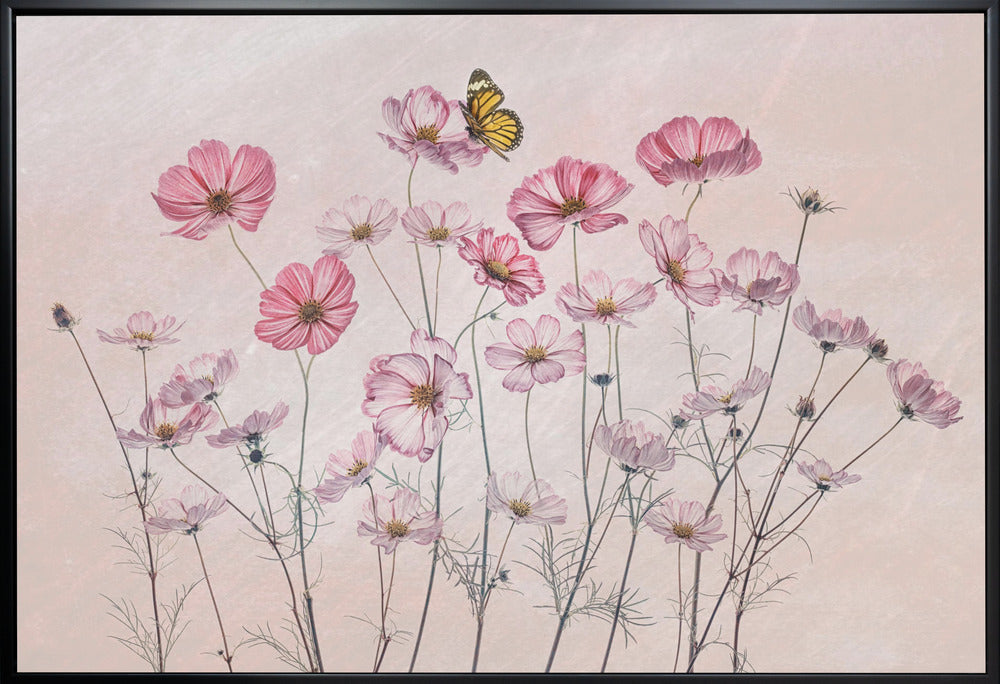 Wandbild Kosmos und Schmetterling