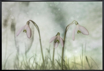 Wandbild-Trio 2