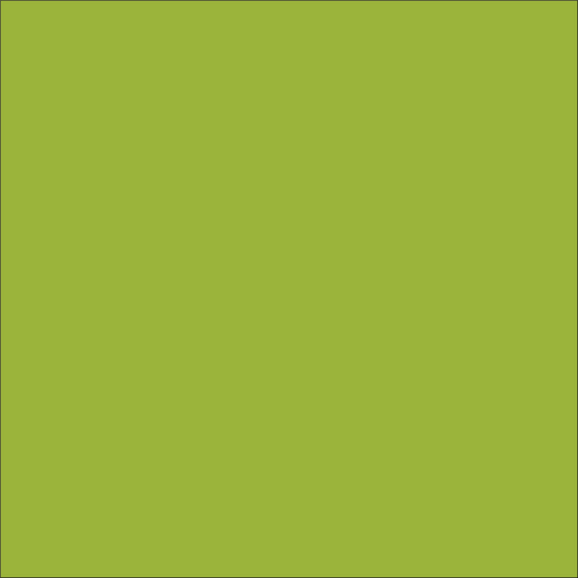 Craft Lime HTV Vinyl 12"