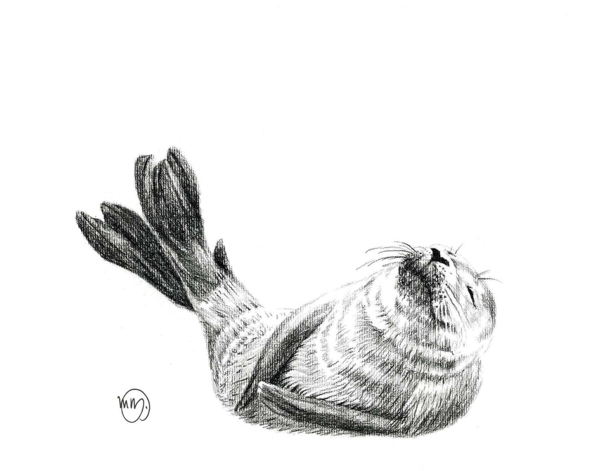 Cute Baby Seal Greeting Card