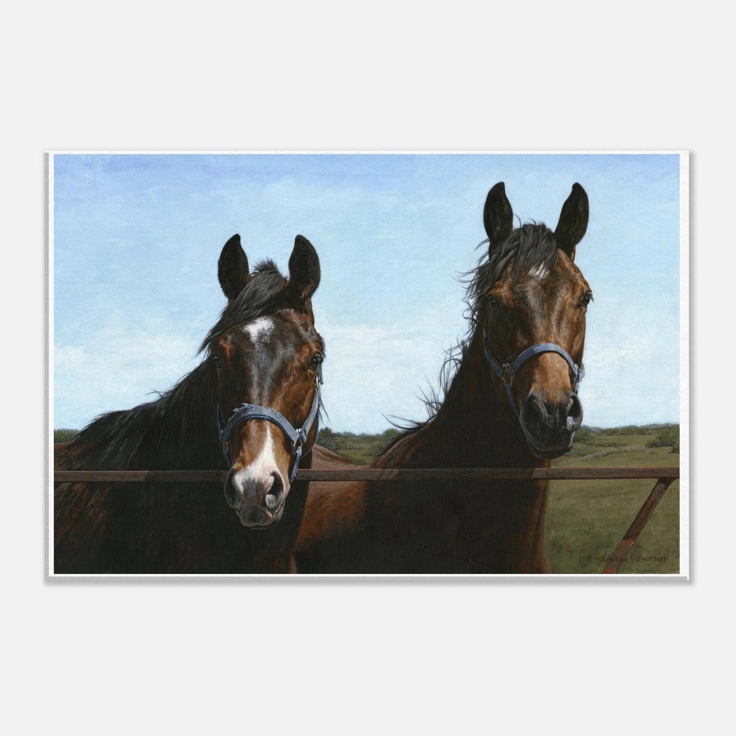 Das Visit Canvas