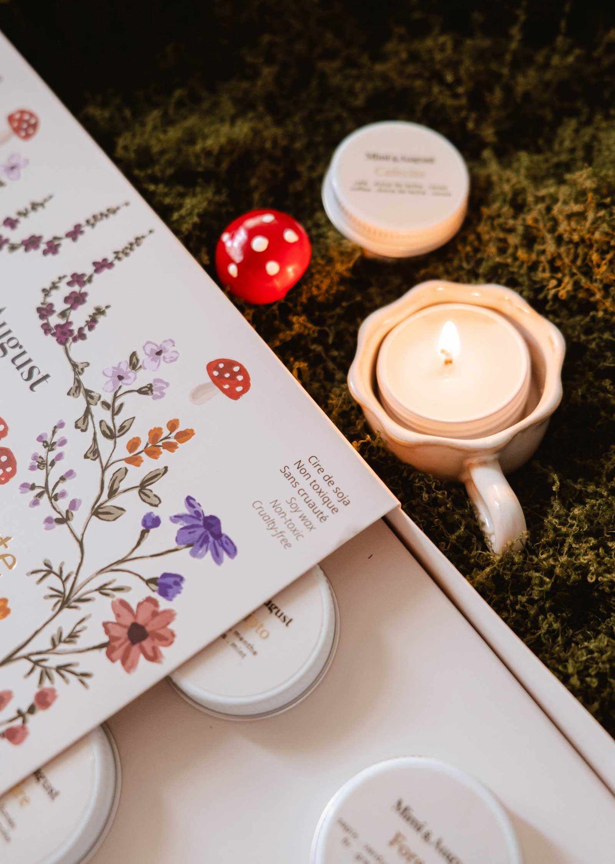 The Fall/Winter Discovery Kit