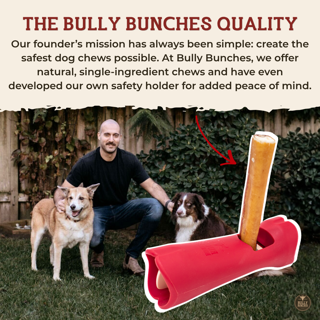 6 Inch Monster Bully Stick