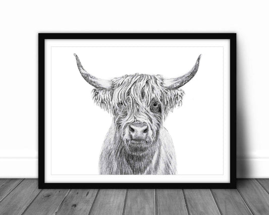 Highland Cow Portrait - art print