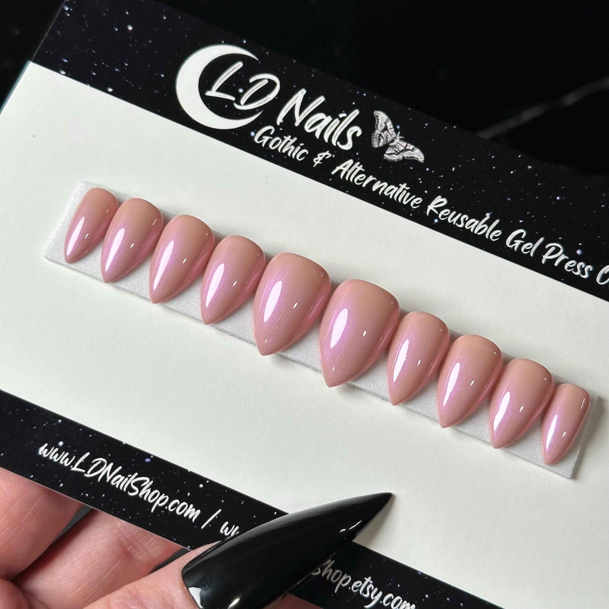 Lavender Blush