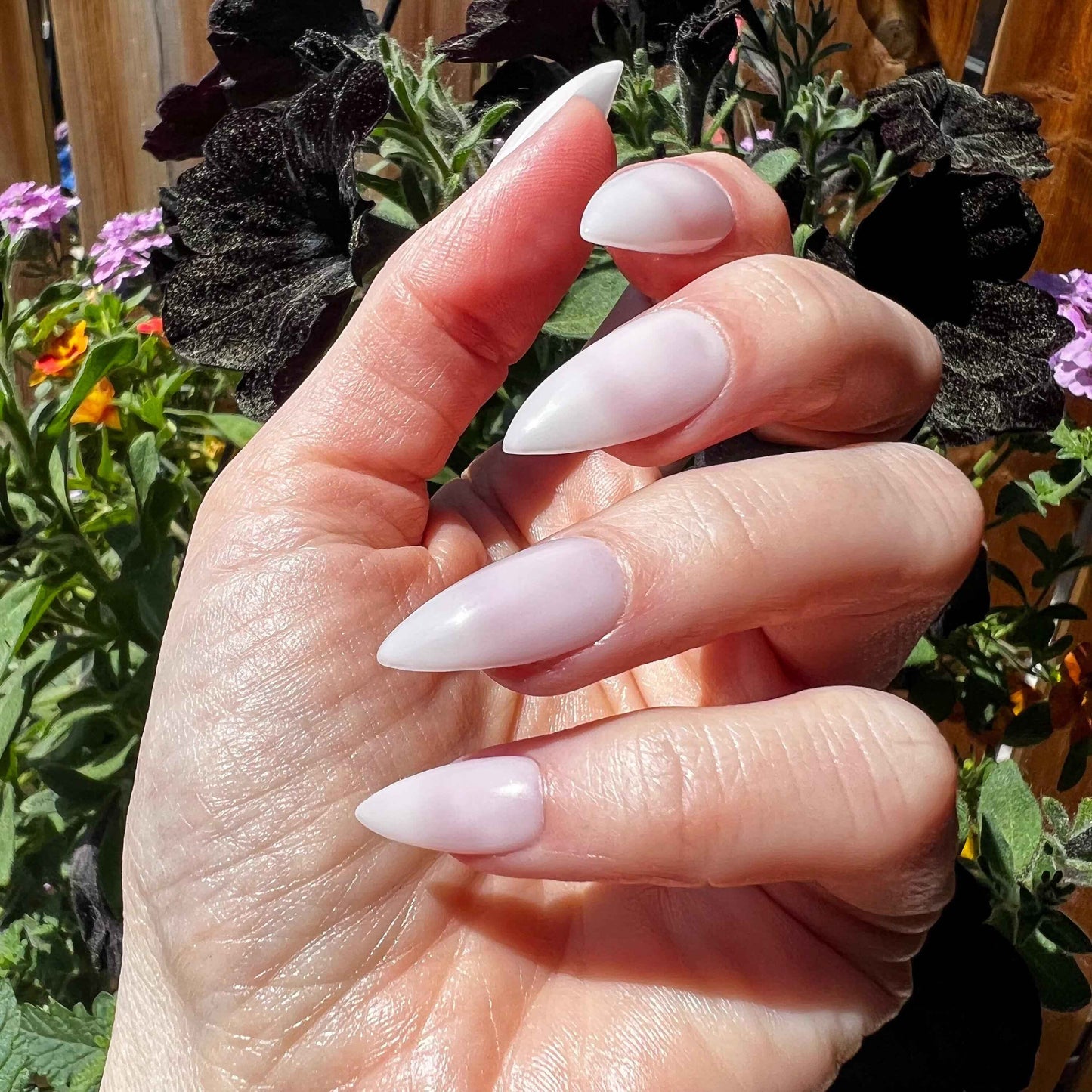 Kitty Cat Claws
