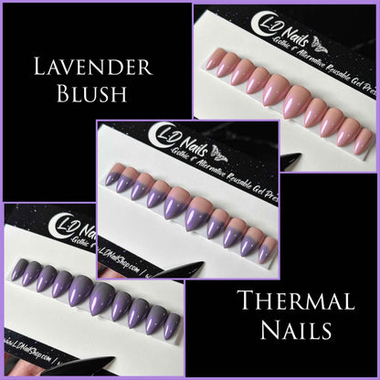 Lavender Blush
