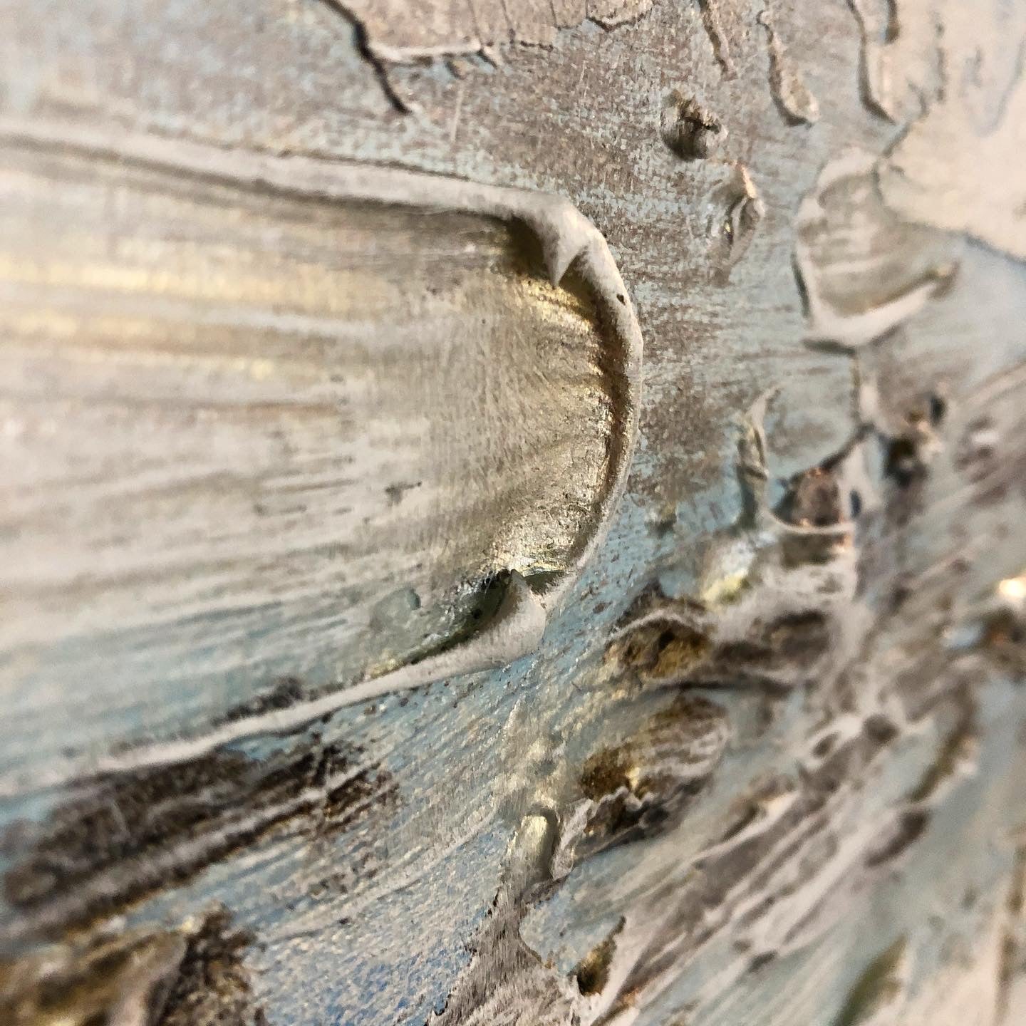 Illumination - AURABAGS SHOP