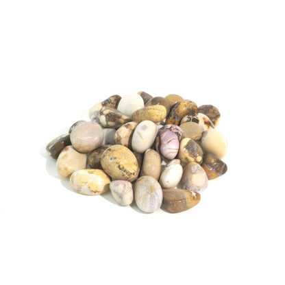 Orbicular Jasper Tumbled Stones - India