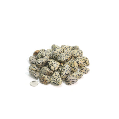 Dalmatian Jasper Tumbled Stones