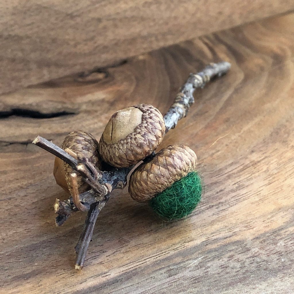 Acorn Stem | Felted | Dark Green